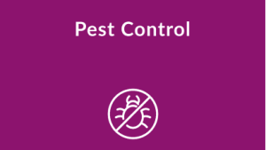 Our Courses Pest Control 300x169